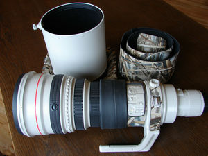 Canon Teleobjektiv Ef 600mm f/4.0 L Is Usm