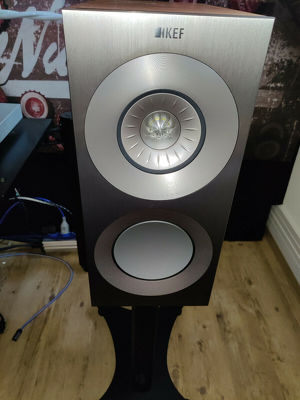 KEF Reference 1 in Silver Satin Walnut