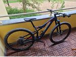 Specialized Camber Expert Carbon 29 M Mountainbike
