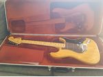 Fender Stratocaster USA 1981 E-Gitarre