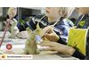 Kinder Keramik Kurs „Tiere am Bauernhof “