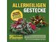 Allerheiligen - Grabschmuck - Aktion bei Blumen Maureen